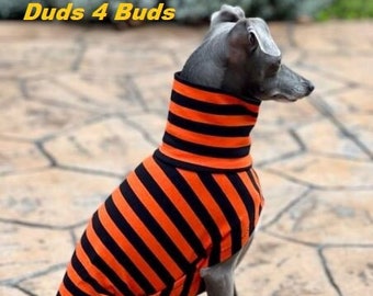 Italian Greyhound Clothing - Pet Halloween - Italy Greyhound - Iggy Clothing - Orange and Black Stripes Tee - Italian Greyhound Size