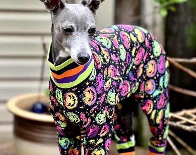 Italian Greyhound Clothing - Halloween for Dog - Dog Pajama - Small Dog Clothes - Knit Onesie For Dog - Pet Halloween - Italy Dog