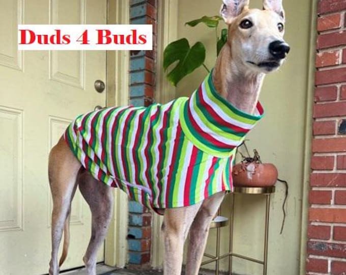 Greyhound Clothing - Pet apparel - Greyhound - Christmas Stripes Tee - Greyhound Size