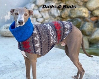 Italian Greyhound Sweater - Blue Bear Sweater - Iggy Duds - Small Dog Sweater -  Italian Greyhound Sizes