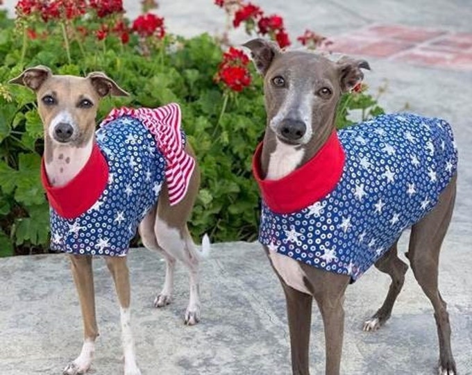 Dog Dress - Dog Tee - Italian Greyhound Clothing - Dog Clothing - Italy Greyhound - Patriotic Party Dress - Italian Greyhound Sizes