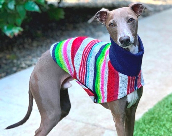 Iggy Sweaters - Duds 4 Buds