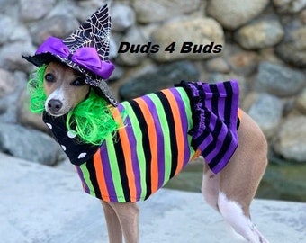 Italian Greyhound Clothing - Pet Halloween - Italy Greyhound - Iggy Clothing - Halloween Stripes Dress - Italian Greyhound Size