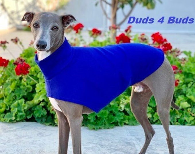 Italian Greyhound Clothing - Italy Greyhound - Dog Clothing - Dark Royal Blue Tee - Italian Greyhound Size