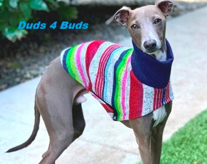 Italian Greyhound Sweater - Multi-Stripe - Iggy Duds - Italian Greyhound Sizes