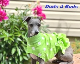 Italian Greyhound Clothing - Dress for Dog - Pet Accessory - Iggy Clothes - Lime Polka - Italy Dog - Small Dog Clothing - Dog Clothing