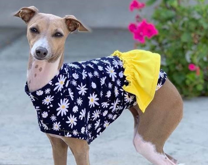 Dog Dress - Italian Greyhound Clothing - Dog Clothing - Italy Greyhound - Blue Daisy - Italian Greyhound Sizes