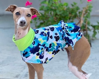 Dog Dress - Italian Greyhound Clothing - Dog Clothing - Small Dog Clothing - Blue Watercolors - Italy Dog - Dog Apparel