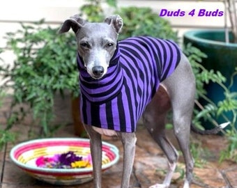 Italian Greyhound Clothing - Pet Halloween - Italy Greyhound - Iggy Clothing - Purple and Black Stripes Tee - Italian Greyhound Size