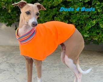 Italian Greyhound Clothing - Italy Greyhound - Iggy Clothing - Orange Sherbet Tee - Italian Greyhound Size