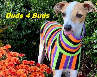 Italian Greyhound Clothing -Pet Halloween - Italy Greyhound - Iggy Clothing - Purple and Black Stripes Tee - Italian Greyhound Size