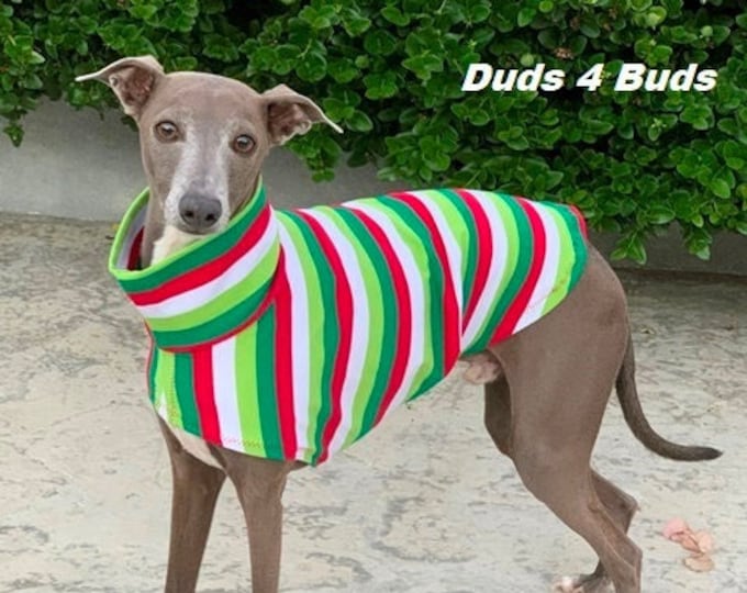 Italian Greyhound Clothing - Christmas for Dog - Christmas Stripe Tee - Italian Greyhound Sizes