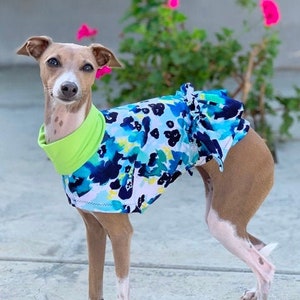 Dog Dress - Italian Greyhound Clothing - Dog Clothing - Italy Greyhound - Blue Watercolors - Italian Greyhound Sizes