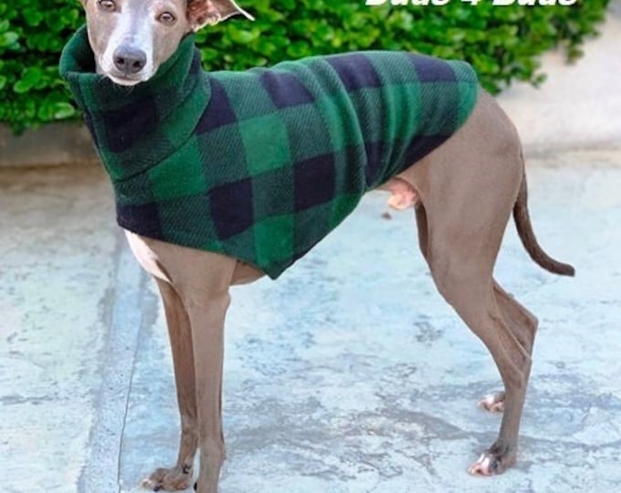 Italian Greyhound Clothing - Iggy Clothing - Dog Vest - Green Plaid - Italy Dog - Pet Clothing - Small Dog Clothes - Iggy