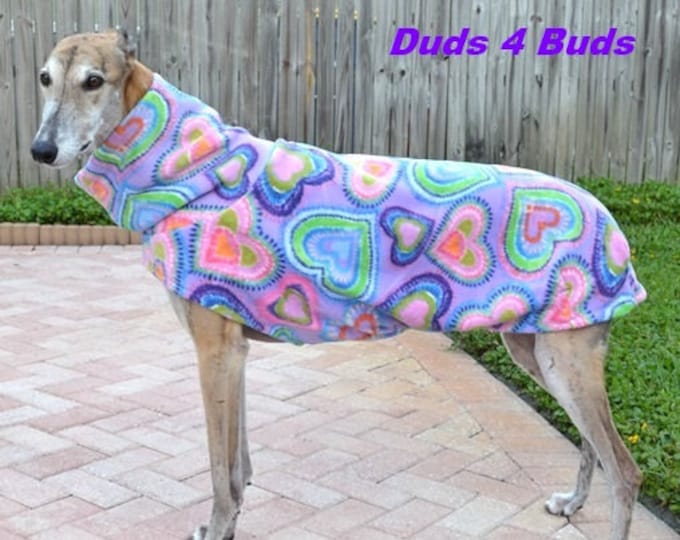 greyhound coat