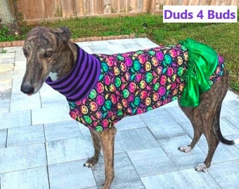 Greyhound Clothing - Pet Halloween - Grehound Halloween - Neon Pumpkin Dress - Greyhound Size