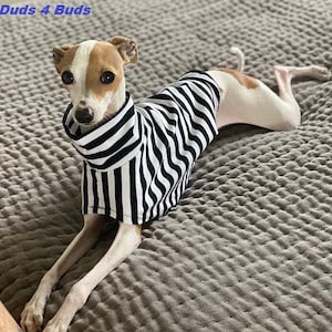 Italian Greyhound Clothing - Pet Halloween - Italy Greyhound - Iggy Clothing - Black & White Stripes Tee - Italian Greyhound Size