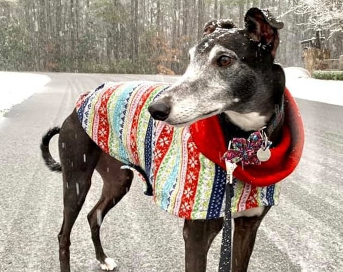 greyhound sweaters