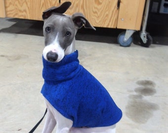 Italian Greyhound Sweater - Dog Sweater - Royal Blue - Italian Greyhound Clothing -  Small Dog Clothing - Dog Apparel - Pet Clothes