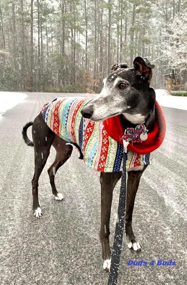 Greyhound Ugly Christmas Sweater Greyhound Ugly Christmas Sweater