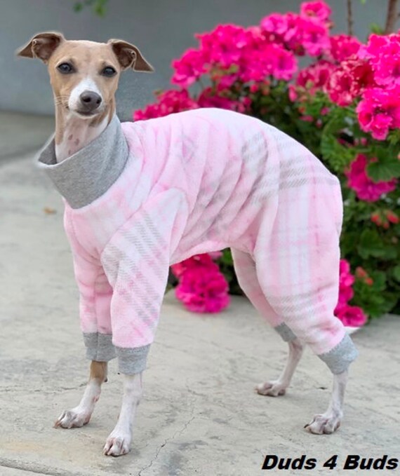 Italian greyhound pajamas 2025