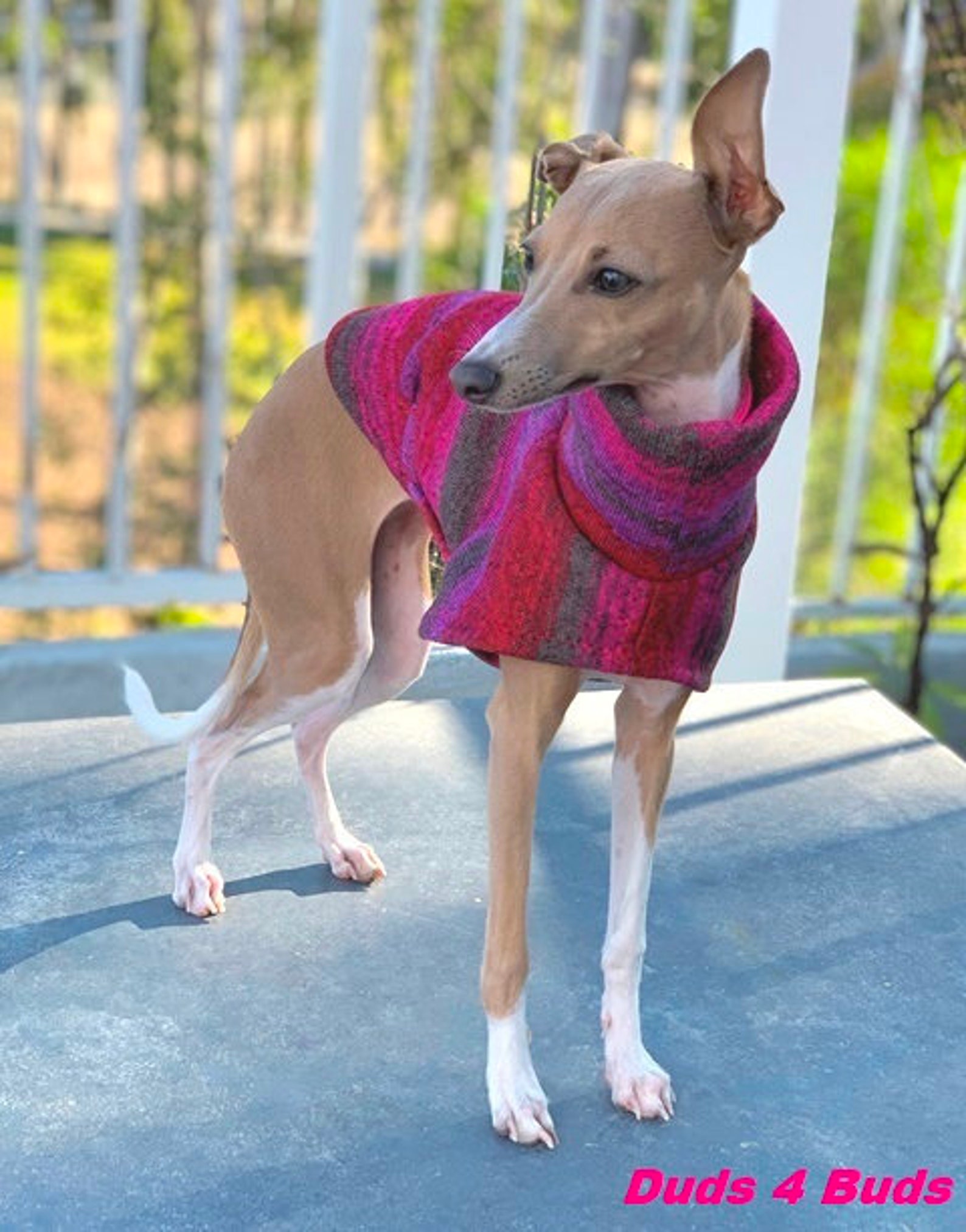 Italian Greyhound Sweater Red Purple Tie Dye Sweater for Etsy