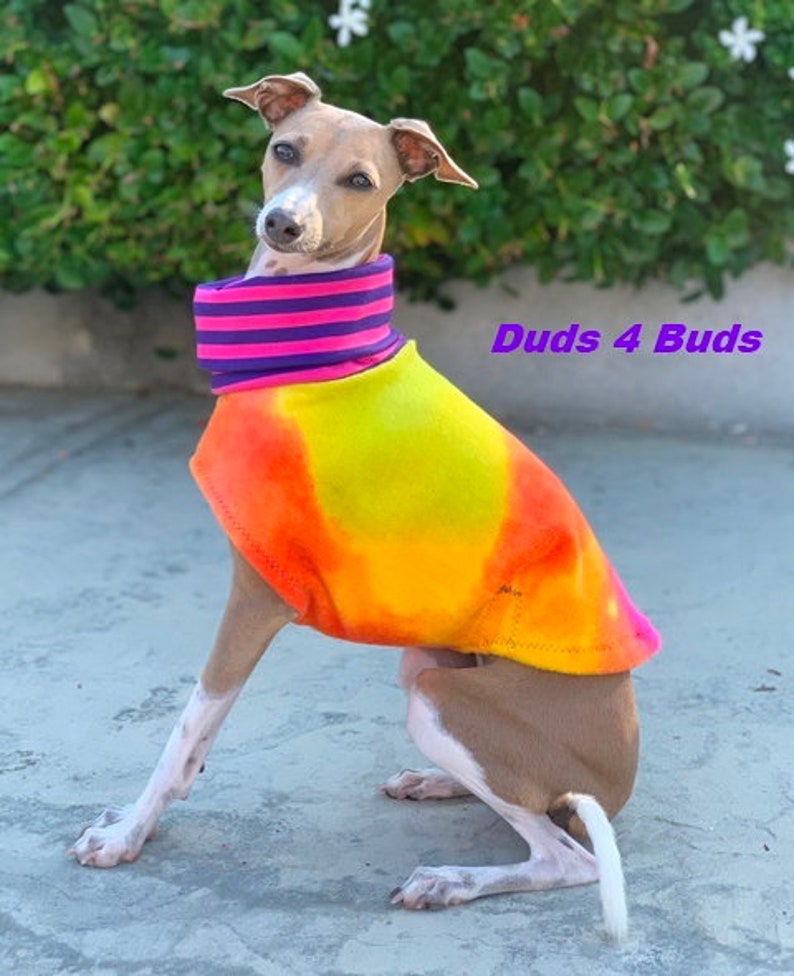 Italian Greyhound Clothing Fleece Dog Coat Tie Dye Vest Etsy