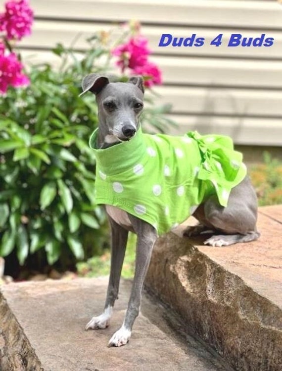 iggy green dress Iggy Formal Dress