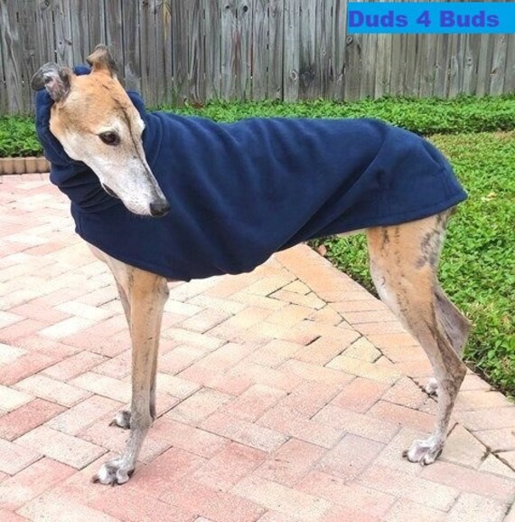 greyhound clothes