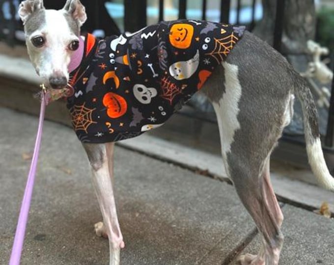 Italian Greyhound Clothing - Pet Halloween - Italy Greyhound - Iggy Clothing - Italian Greyhound Size