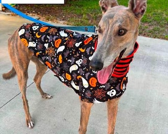 Greyhound Clothing - Pet Halloween - Greyhound Halloween - Halloween Tee - Greyhound Size