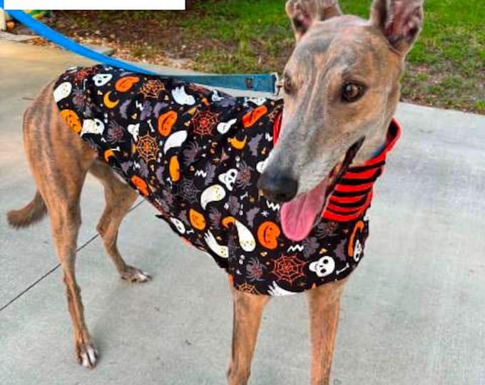 Greyhound Clothing - Pet Halloween - Greyhound Halloween - Halloween Tee - Greyhound Size
