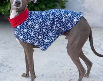 Dog Tee - Italian Greyhound Clothing - Dog Clothing - Italy Greyhound - Patriotic Party Tee - Italian Greyhound Sizes