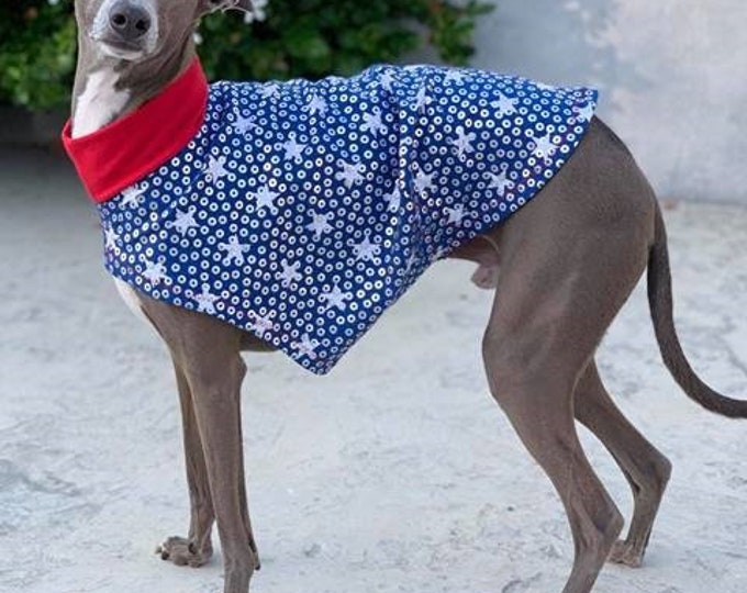 Dog Tee - Italian Greyhound Clothing - Dog Clothing - Italy Greyhound - Patriotic Party Tee - Italian Greyhound Sizes