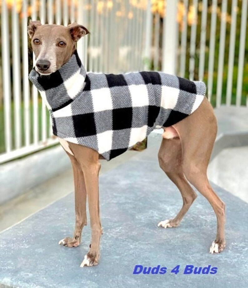 Italian Greyhound Clothing Plaid Dog Sweater White Plaid Coat for Italian Greyhound Italy Dog Pet Clothing Small Dog Clothes image 1
