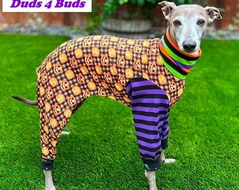 Italian Greyhound Clothing - Halloween for Dog - Dog Pajama - Small Dog Clothes - Knit Onesie For Dog - Pet Halloween - Italy Dog