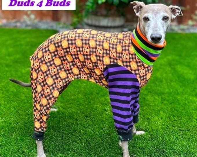Italian Greyhound Clothing - Halloween for Dog - Dog Pajama - Small Dog Clothes - Knit Onesie For Dog - Pet Halloween - Italy Dog