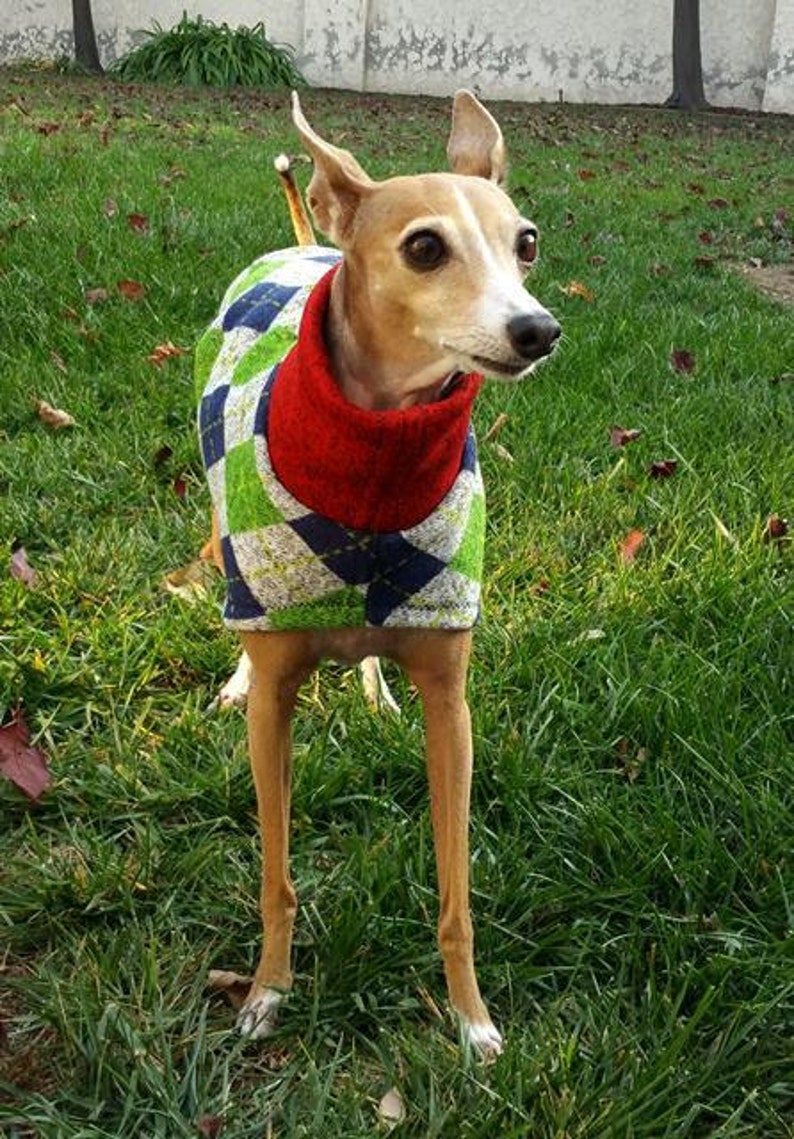 Dog Clothes Ugly Christmas Sweater Italian Greyhound Pet Clothing Uncle Hairy/'s Sweater Sweater for dog Dog Sweater Dog Apparel