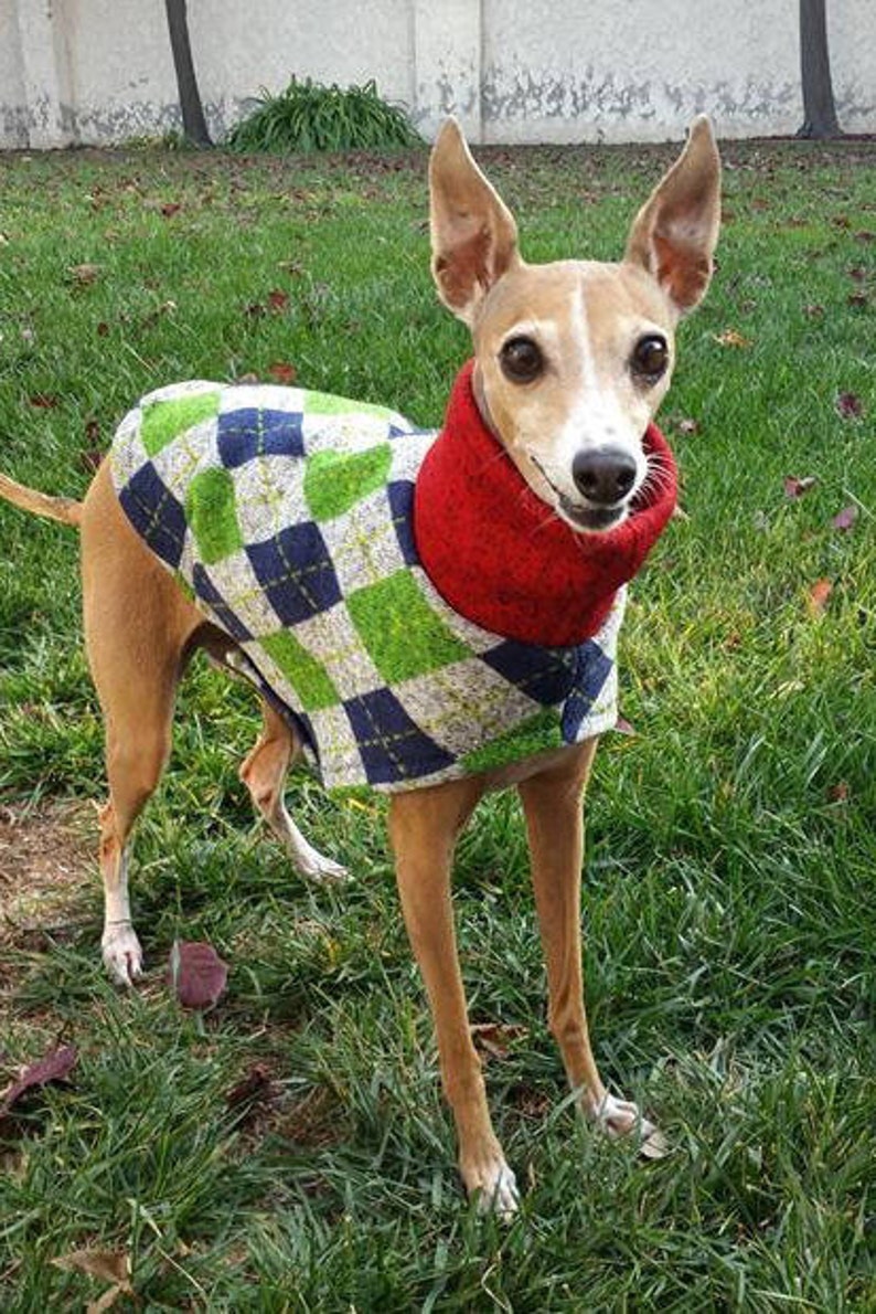 Dog Clothes Ugly Christmas Sweater Italian Greyhound Pet Clothing Uncle Hairy/'s Sweater Sweater for dog Dog Sweater Dog Apparel