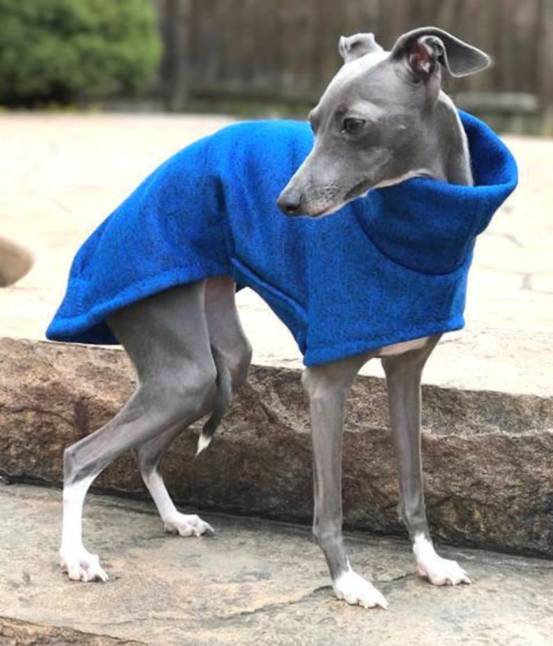 Italian Greyhound Clothing Long Blue Dog Clothing Dog Sweater Iggy