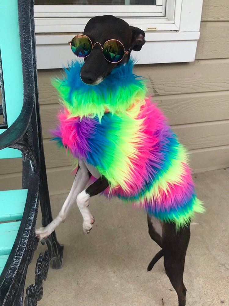 Italian Greyhound Clothing Dog Clothes Rainbow Faux Fur Jacket