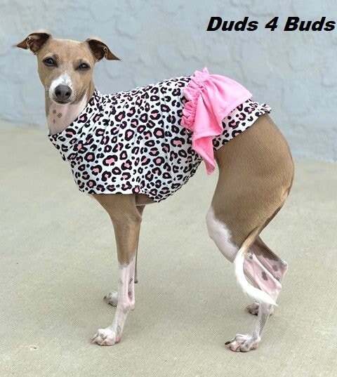 Italian Greyhound Clothing - Dress for Dog - Pink Cheetah - Barbiecore -  Pink for Dog - Dog Clothes - Italian Greyhound Sizes