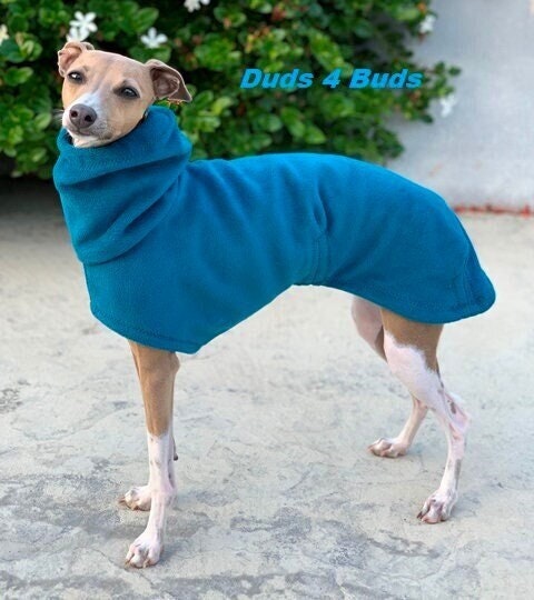 Italian Greyhound Coat Italian Greyhound Clothing Dog Coat Teal Luxe Hoodie Fleece Dog Coat Dog Clothing Dog Apparel