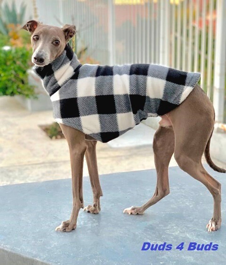 Italian Greyhound Clothing Plaid Dog Sweater White Plaid Coat for Italian Greyhound Italy Dog Pet Clothing Small Dog Clothes image 3