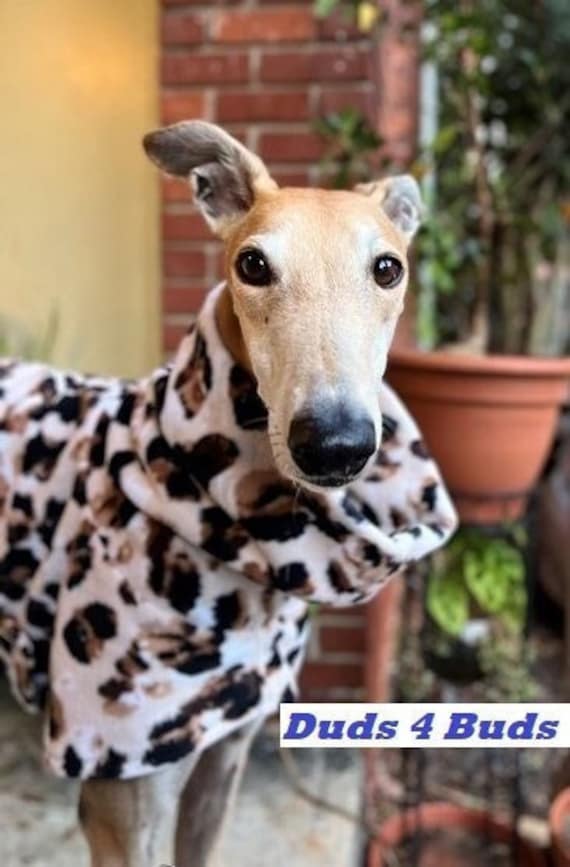 Greyhound Coat - Fleece For Dog Jacket Clothing Modern Leopard For Pet