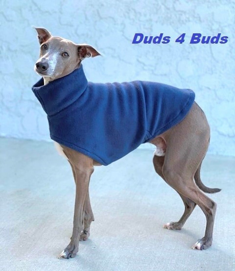 Italian Greyhound Clothing Dog Vest Dark Blue Italy Dog Pet Clothing Small Dog Clothes Dog Jacket Fleece Dog Jacket Iggy image 1