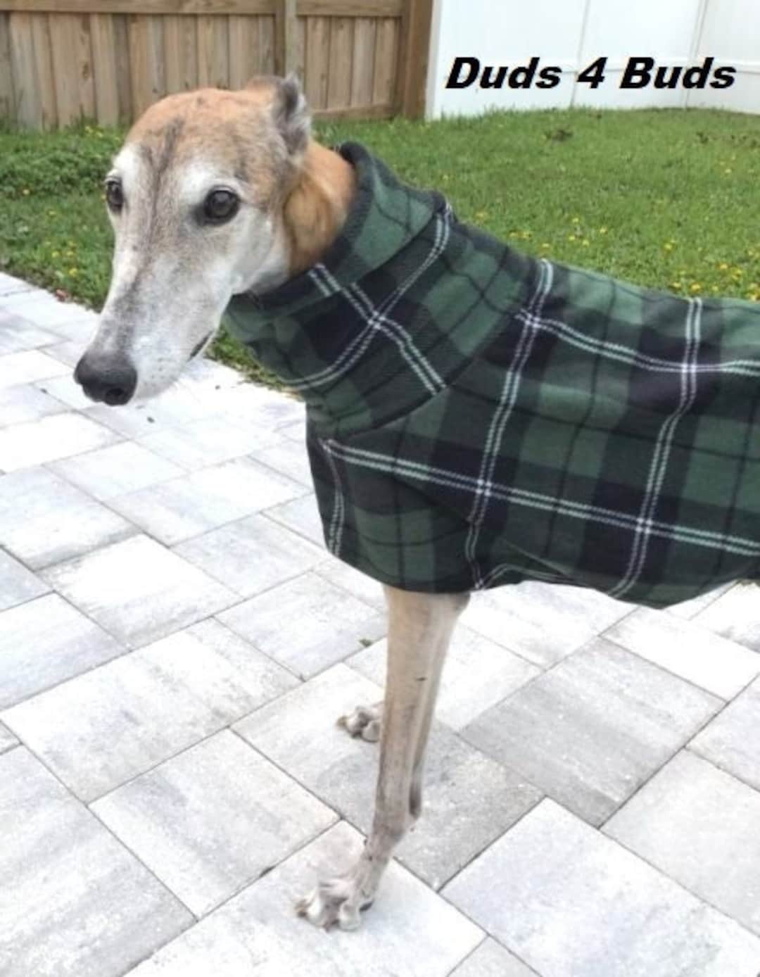 Greyhound Coat Plaid Dog Coat Dog Jacket Greyhound Clothing Green