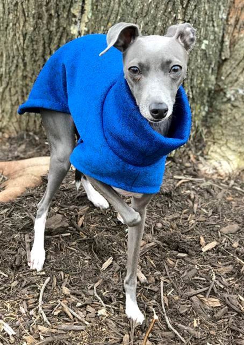 Italian Greyhound Clothing Long Blue Dog Clothing Dog Sweater Iggy