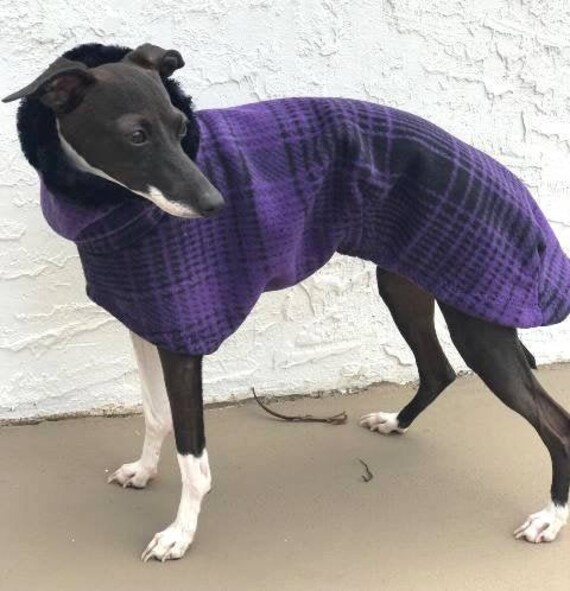 Greyhound coats etsy Clearance