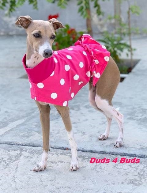 Pink dog outfit discount